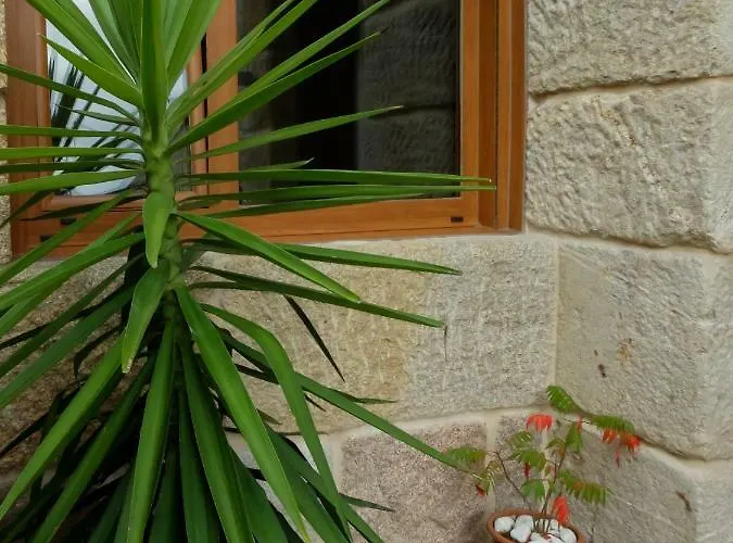 Tatil Evi Casa Do Outeiro *